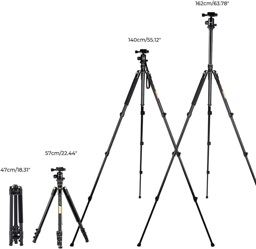 K&amp;F Concept 64&#39;&#39;/162cm DSLR Tripod，Lightweight and Compact Aluminum Camera Tripod with 360 Panorama Ball Head Quick Release Plate for Travel and Work B234A1+BH-28 (TM2324)